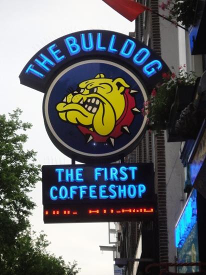 The Bulldog夜店-阿姆斯特丹必去景点