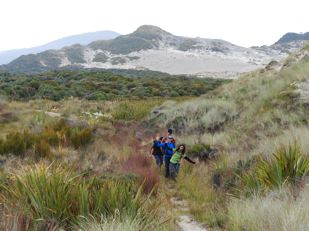 Kiwi Wilderness Walks-皇后镇必去景点
