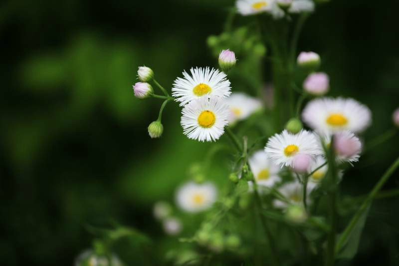 杭州悦榕庄主图