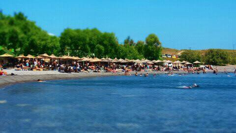 Agios Fokas Beach (Psalidi)景点图片
