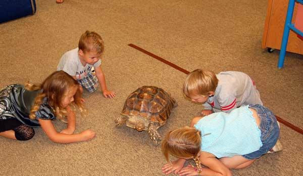 Headwaters Science Center-伯米吉必去景点
