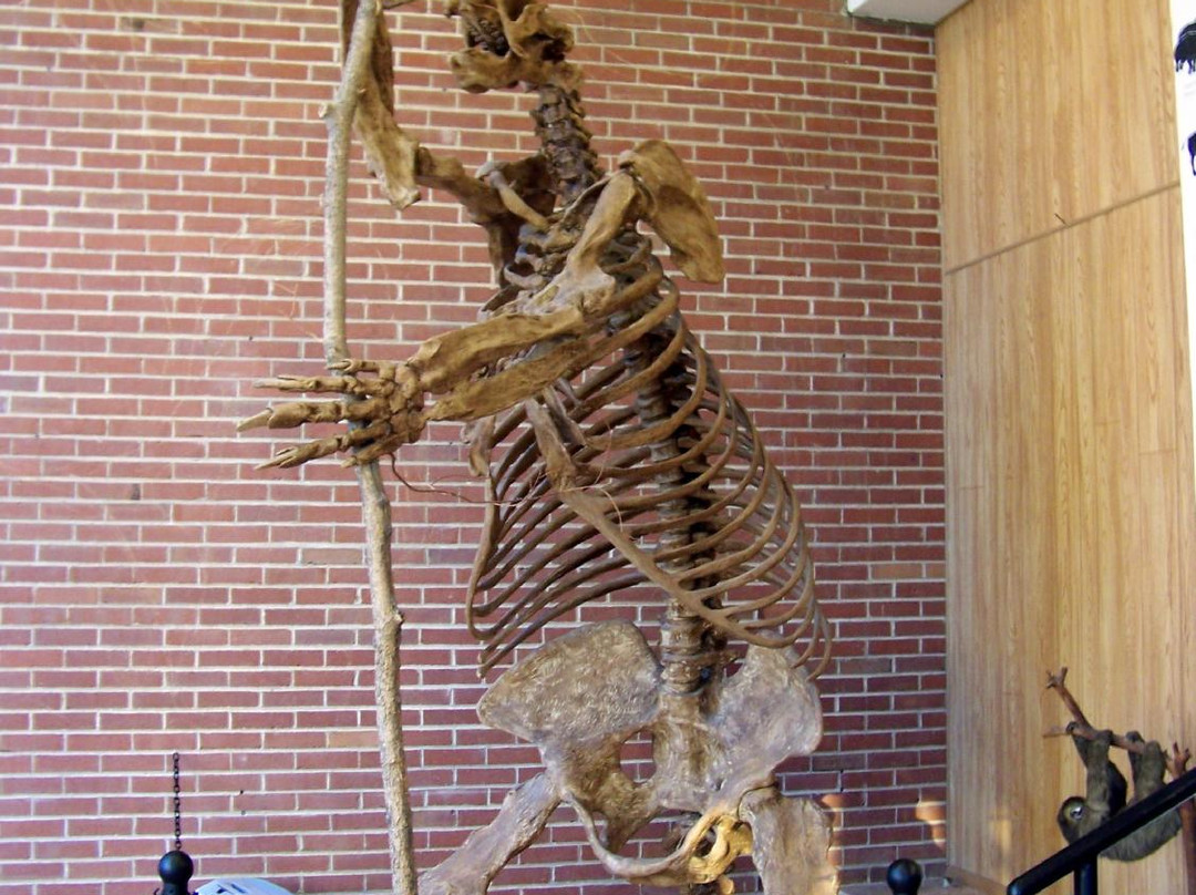 Joseph Moore Museum-里士满必去景点