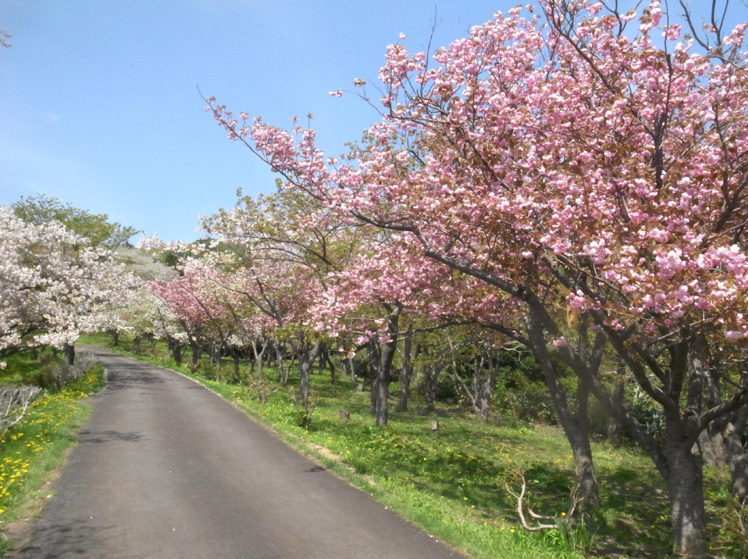 松前公园-松前町必去景点