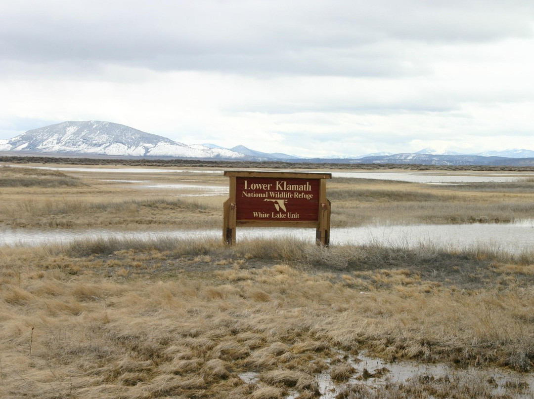 Tule Lake National Wildlife Refuge-Tulelake必去景点
