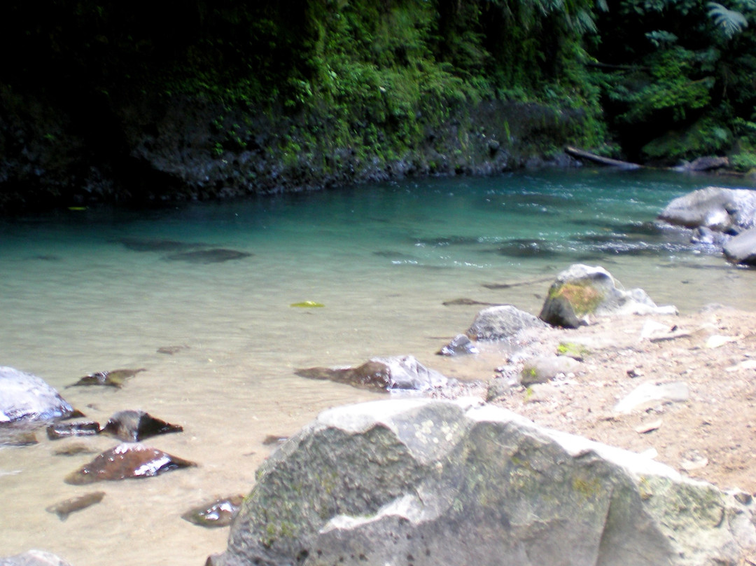 La Fortuna Waterfall景点图片