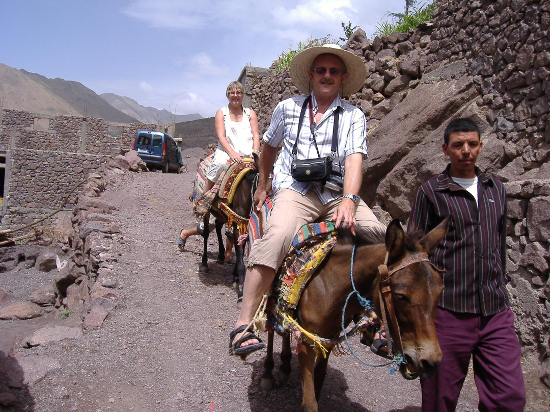 Trek In Atlas-马拉喀什必去景点