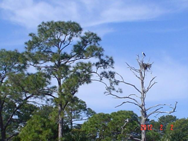 Cedar Key Museum State Park景点图片