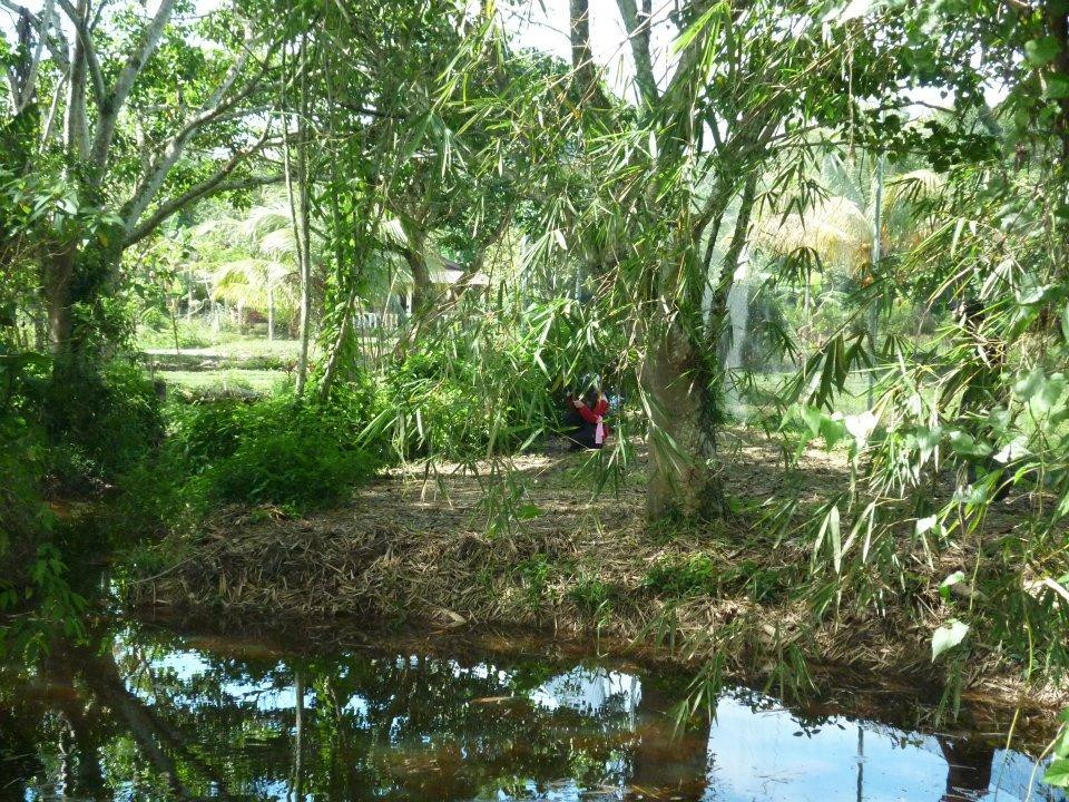 SWAT Paintball-武吉丁宜高原必去景点