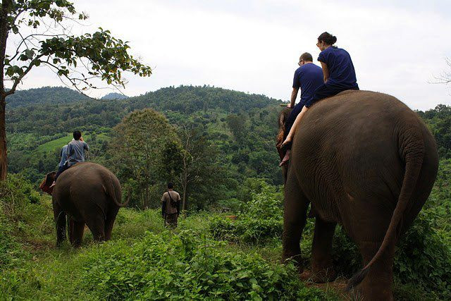 Woody Elephant Sanctuary-夜登必去景点