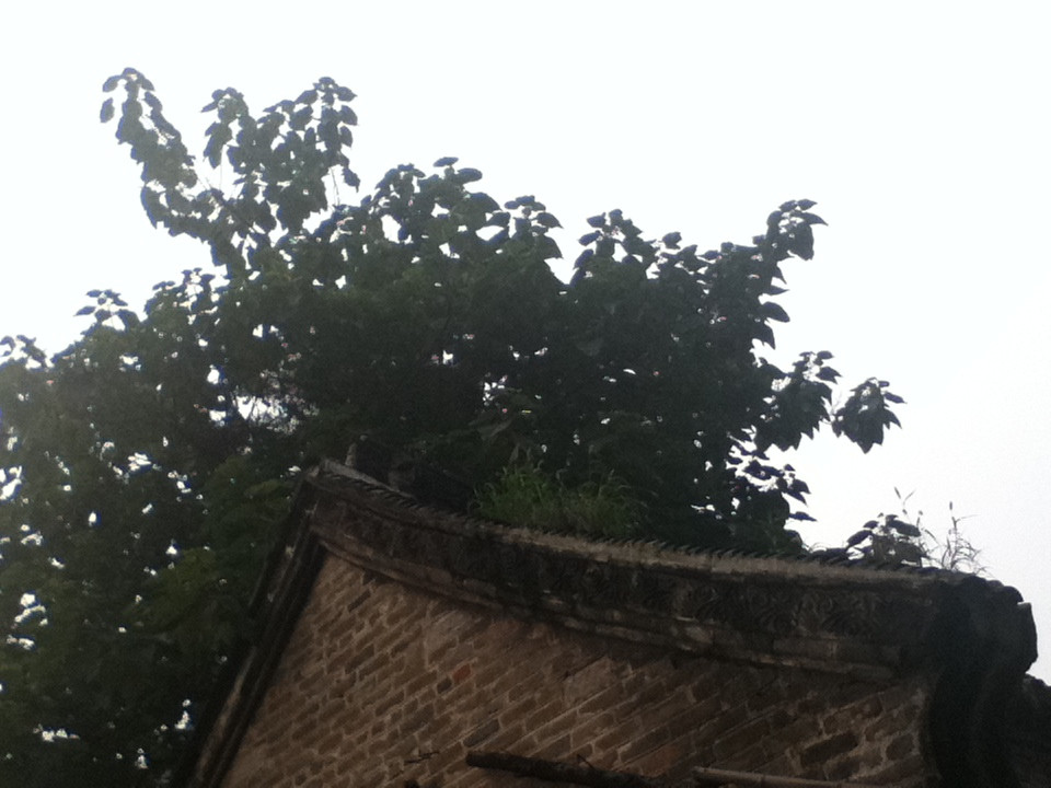 南阳古镇景点图片