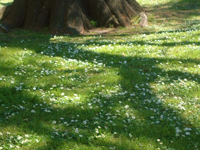 Plaza Mitre-马德普拉塔必去景点