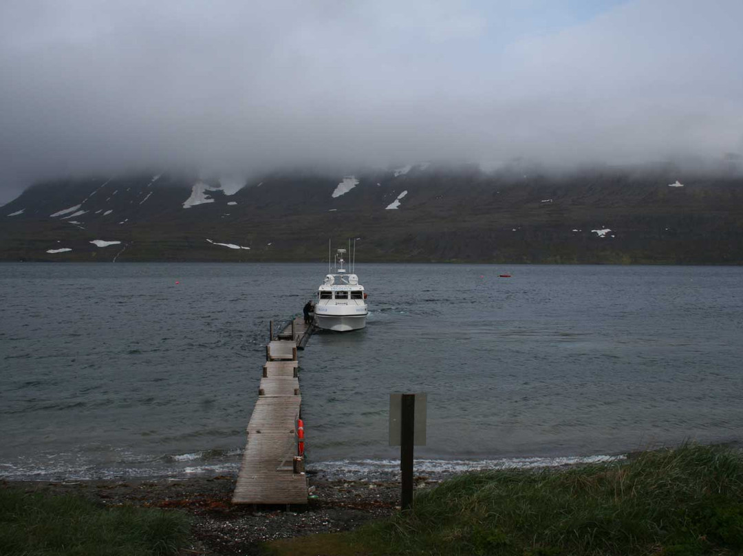 Hornstrandir Nature Reserve景点图片