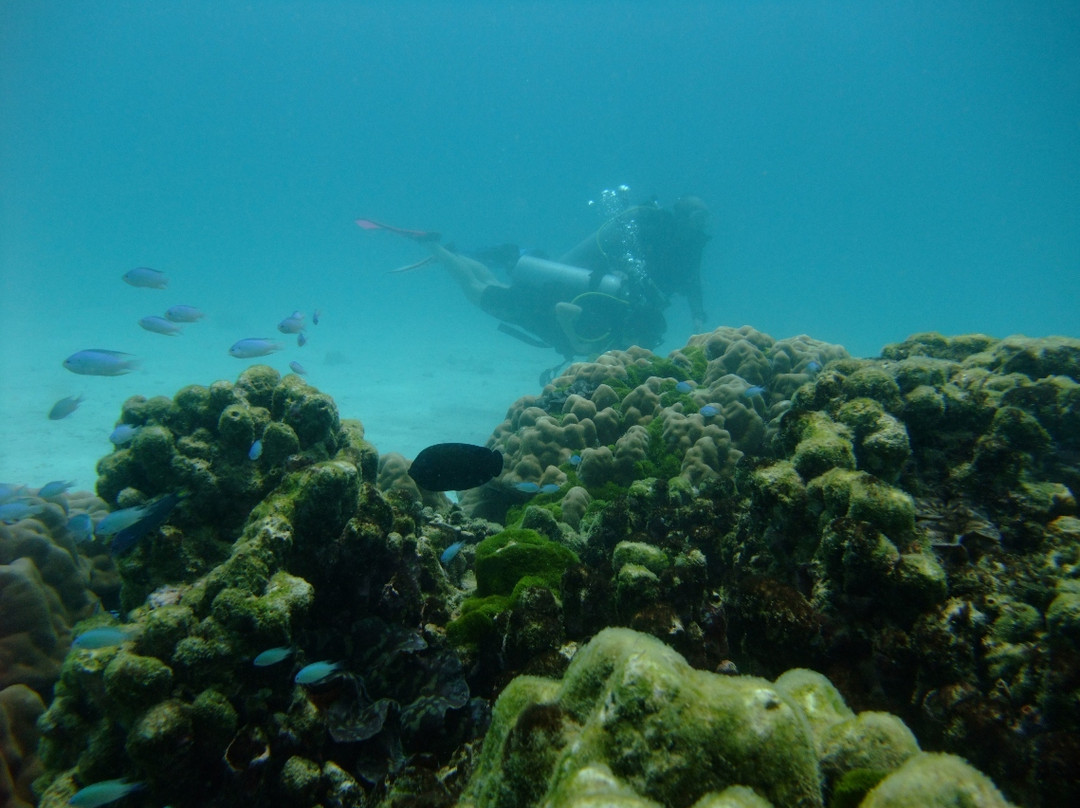 夏基潜水中心-卡伦必去景点
