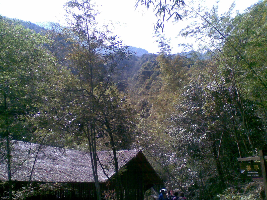 卧龙谷景点图片