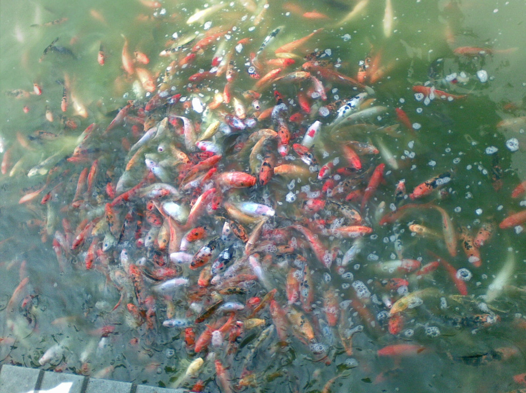 虎门海战博物馆-东莞市必去景点