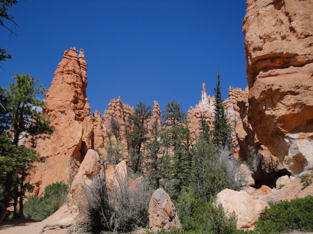 Queen's Garden Trail-布莱斯峡谷国家公园必去景点