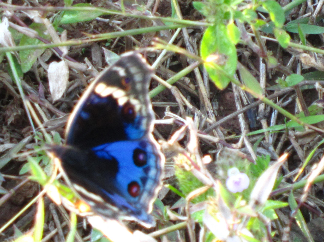 香水河-南漳县必去景点