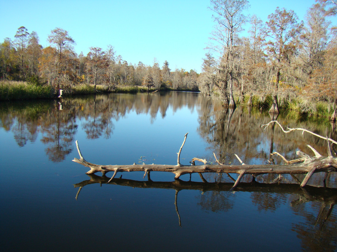 Old Santee Canal Park景点图片