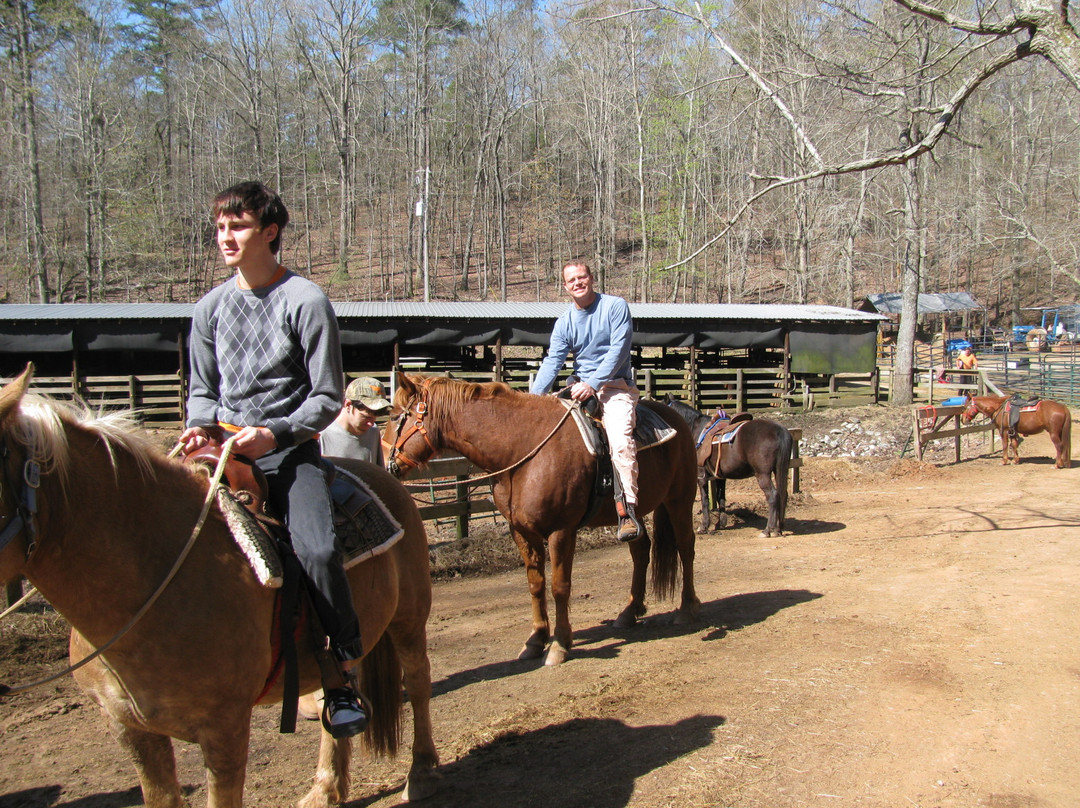 Franklin D. Roosevelt State Park-Pine Mountain必去景点