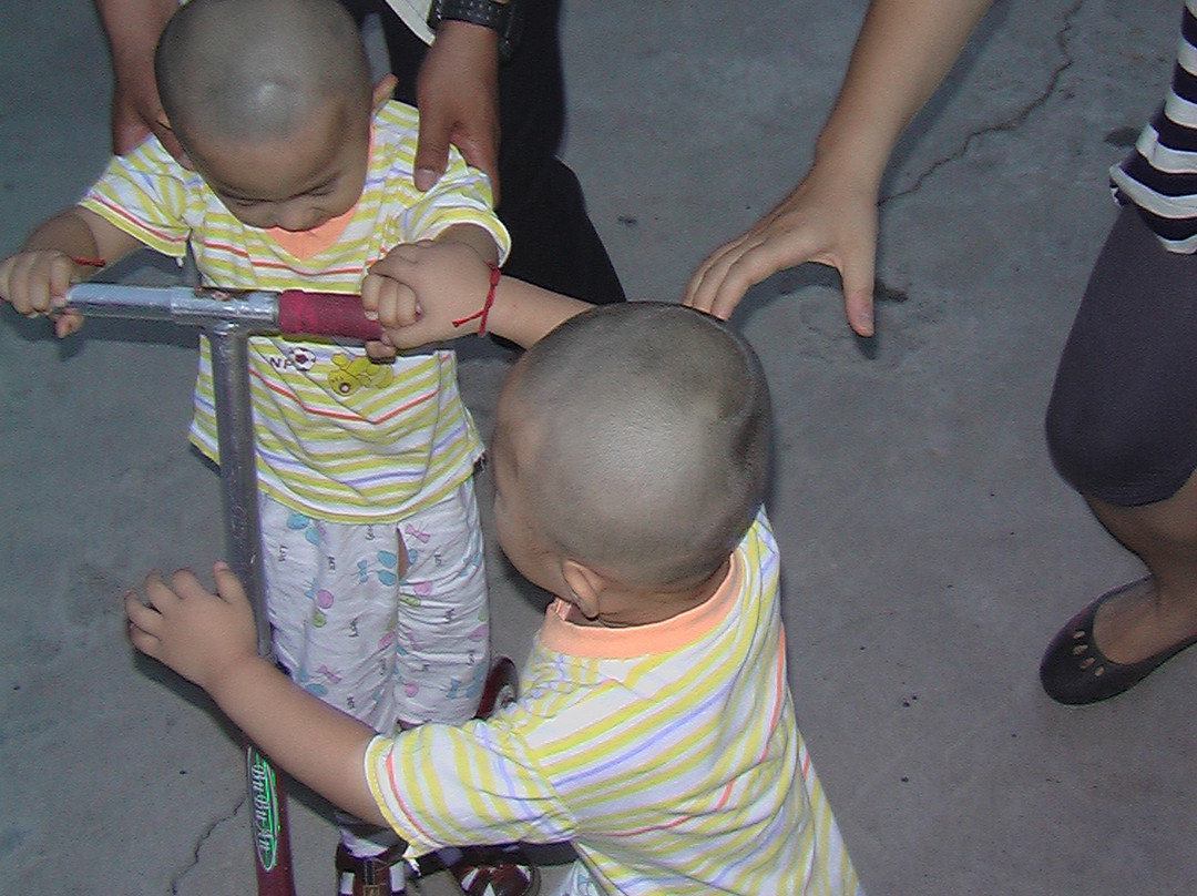 刘福利农家院主图