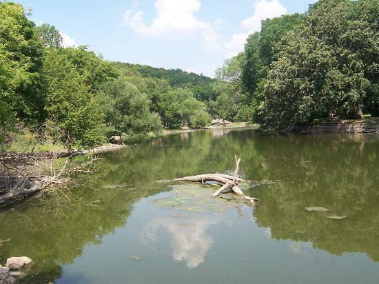 Buffalo Park Forest Preserve景点图片