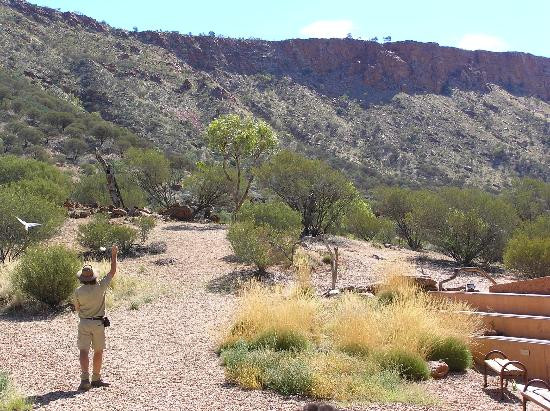 Alice Springs Desert Park-爱丽斯泉必去景点