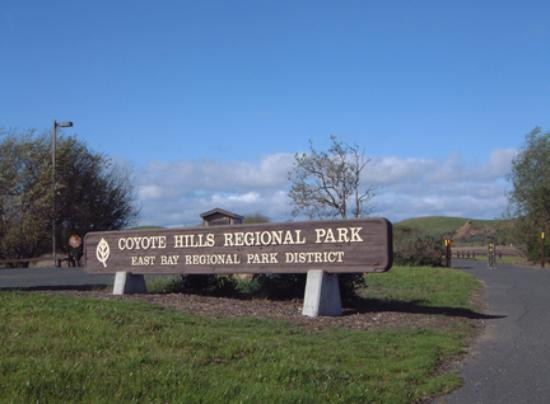 Museum at Coyote Hills-费利蒙必去景点