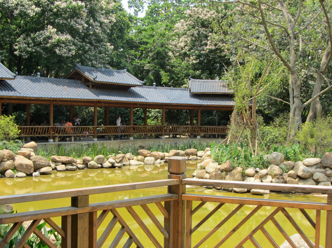 金花茶公园景点图片