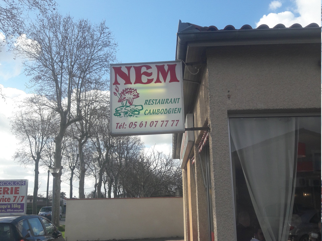 Le Nem