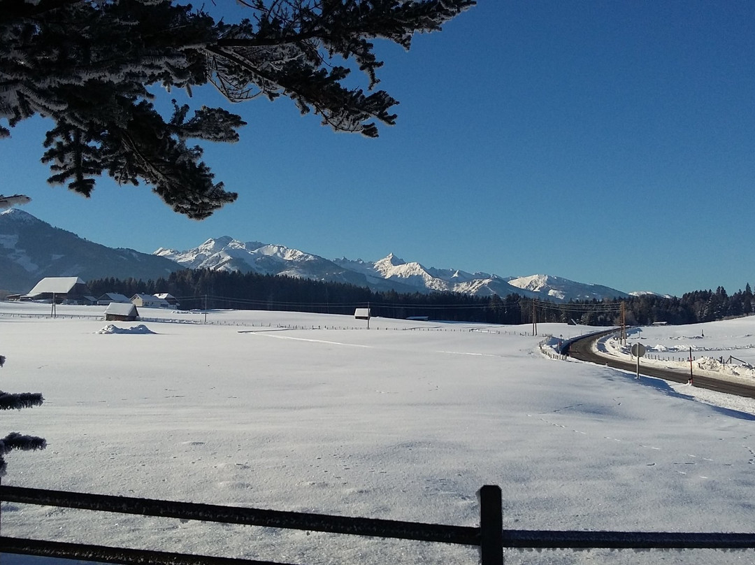 Oeblarn酒店住宿-Berghof