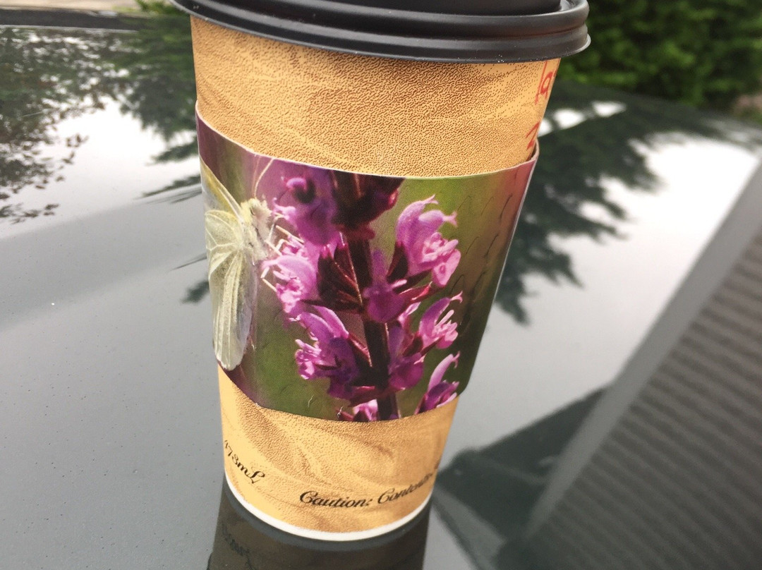 Serendipity Coffee House & Bistro