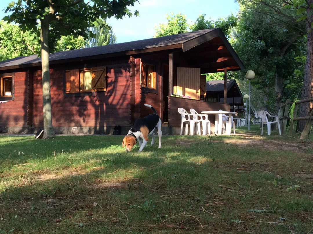 Camping & Bungalows Ligüerre de Cinca