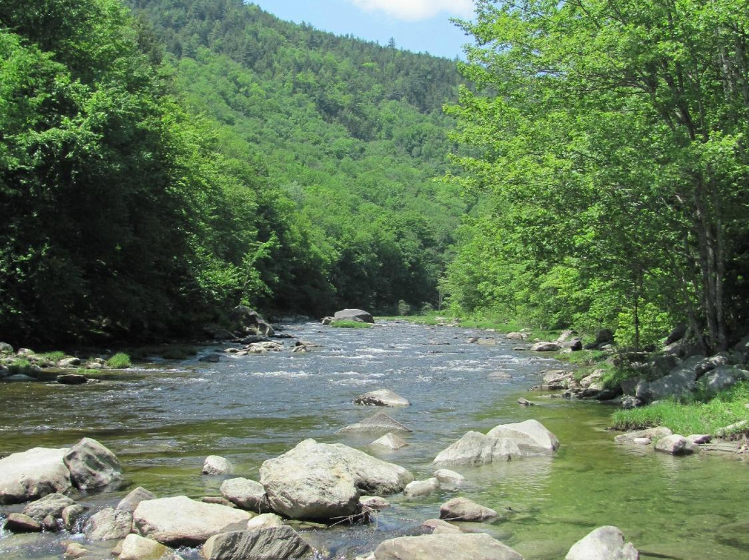 Jamaica State Park Campground