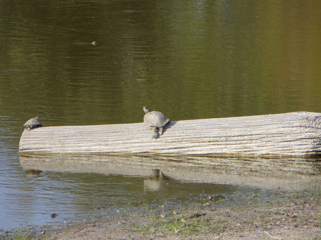 Linda S Castro Nature Sanctuary-Fulton必去景点