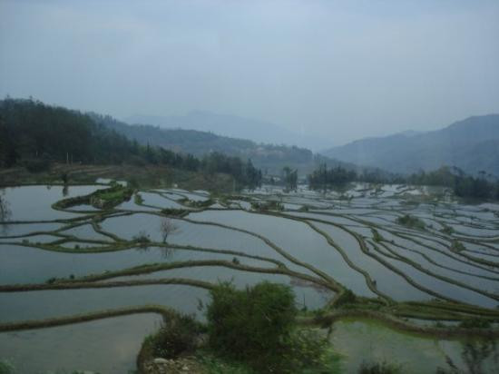 原阳县旅游攻略图片