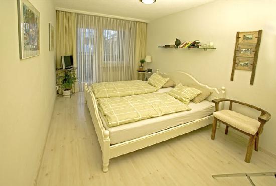 迪森蒂斯霍夫酒店-客卧