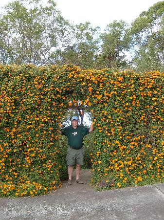 库拉植物园-库拉必去景点