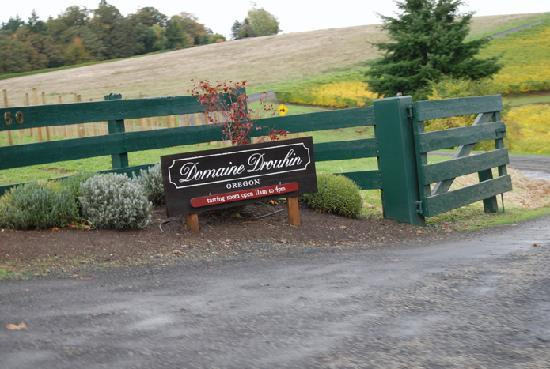 Domaine Drouhin Oregon-Dayton必去景点