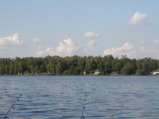 Beekse Bergen Safari Park-希尔法伦贝克必去景点