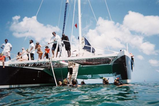 Cool Runnings Catamaran Cruises景点图片