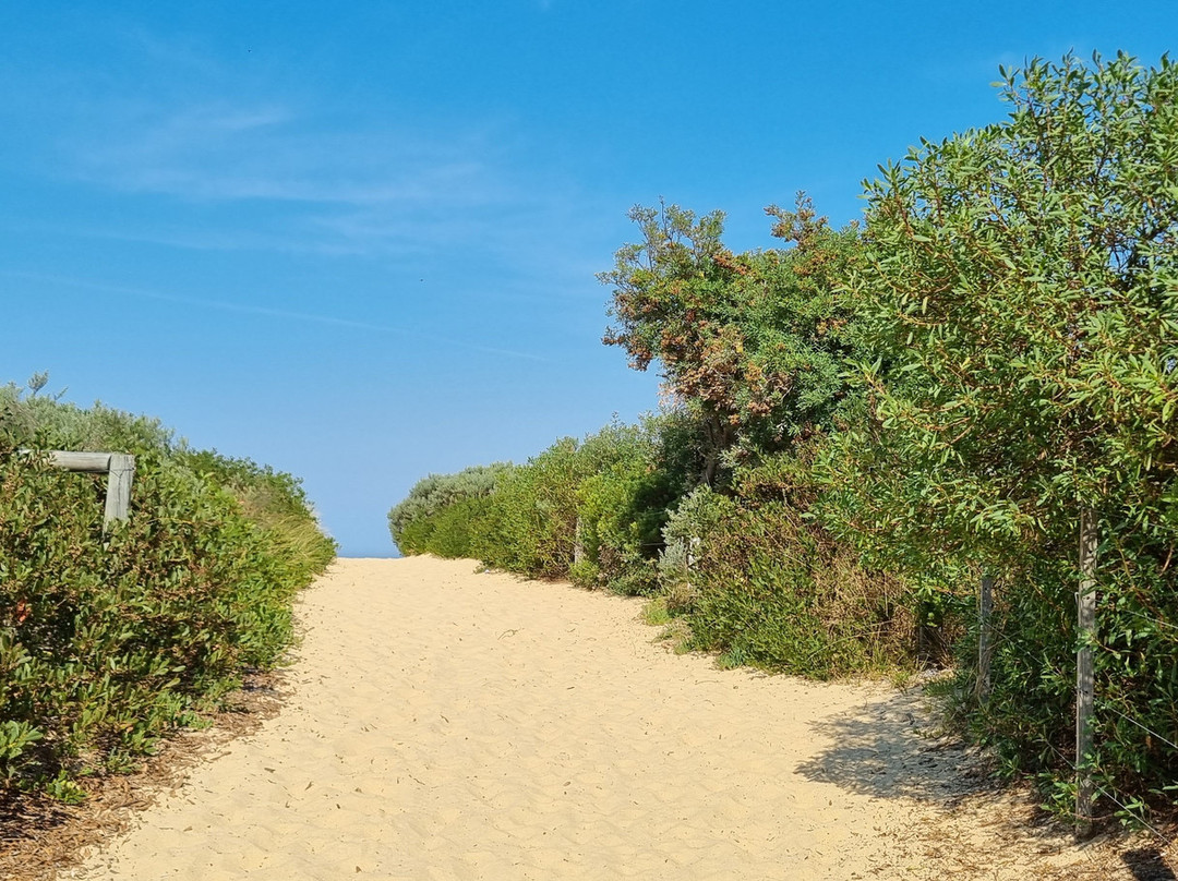 Eastern Beach景点图片