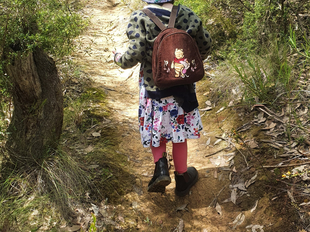 Jamieson Paw Prints Walk-Jamieson必去景点