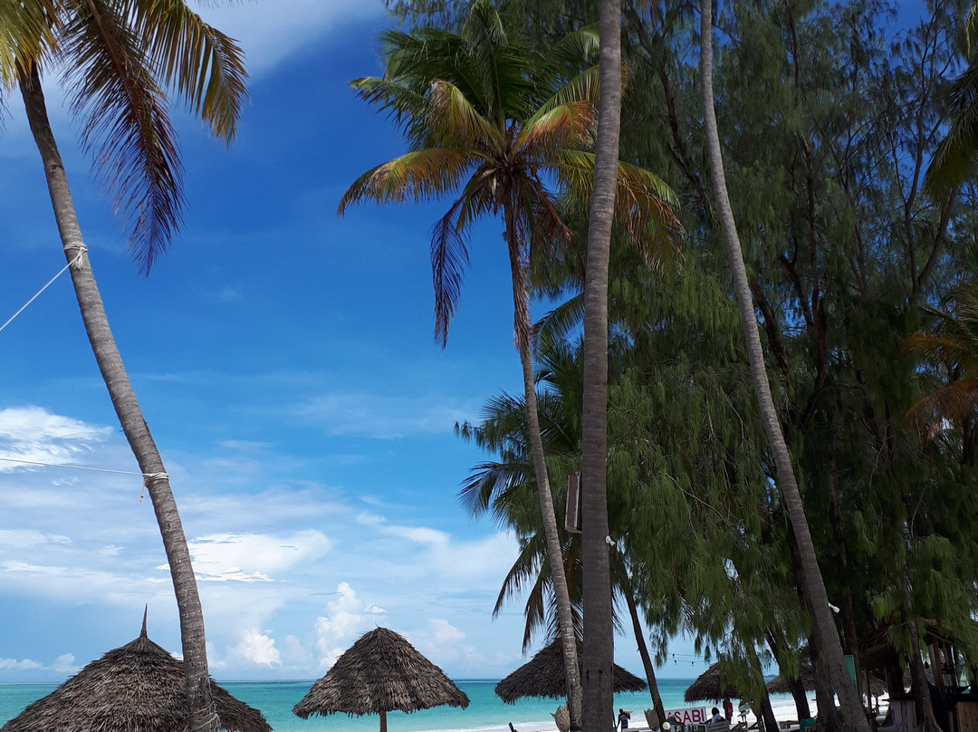 Karihe Zanzibar Tours-Matemwe必去景点