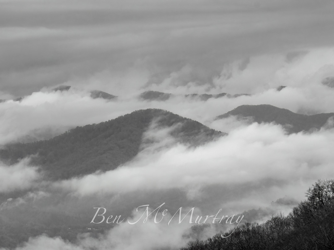 Spruce Photo Tours-汤森必去景点