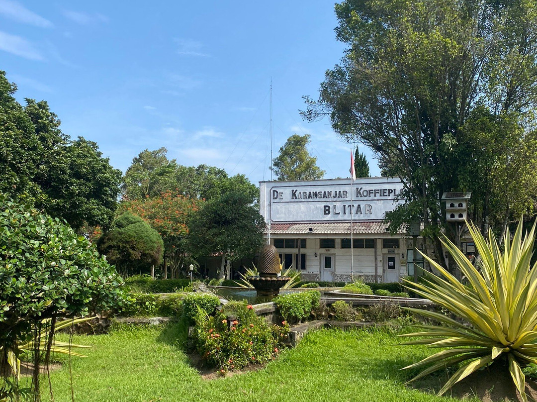 Karanganjar Coffee Plantation-勿里达必去景点