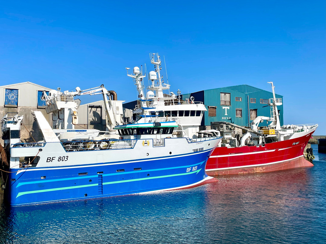 Fraserburgh Harbour-Fraserburgh必去景点