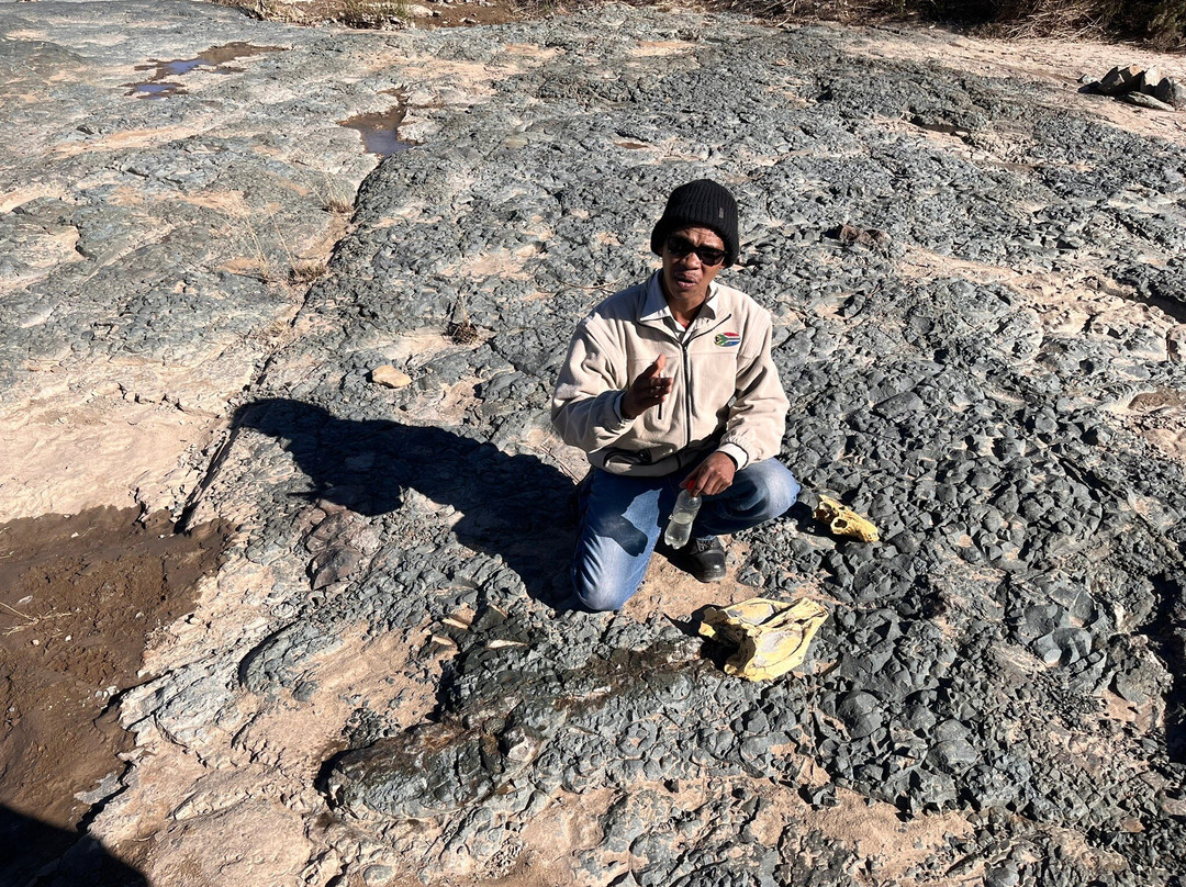 Kitching Fossil Exploration Centre-Nieu-Bethesda必去景点