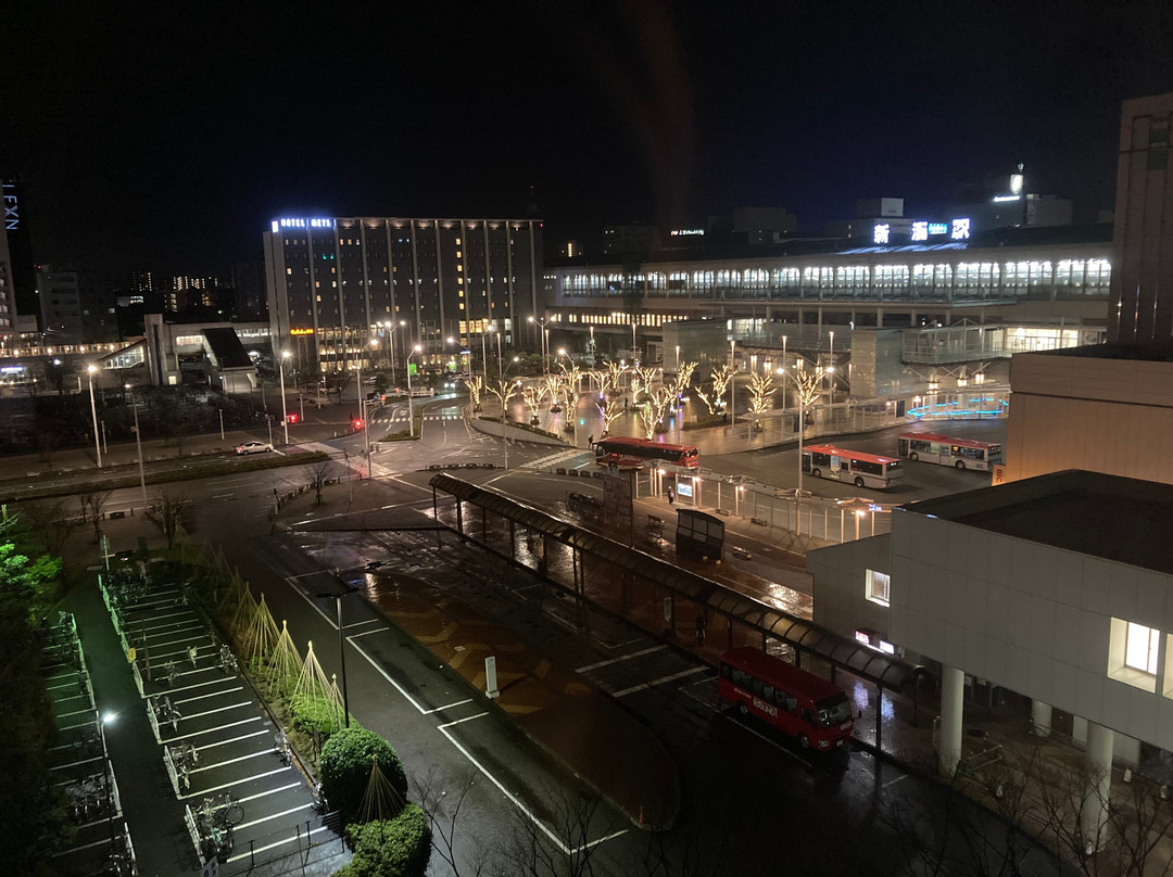 ART  新泻站前酒店主图