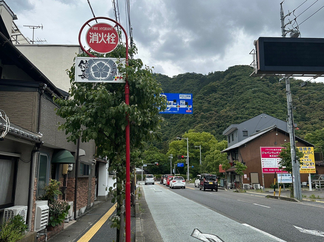 Mt. Kinka Ropeway-岐阜市必去景点