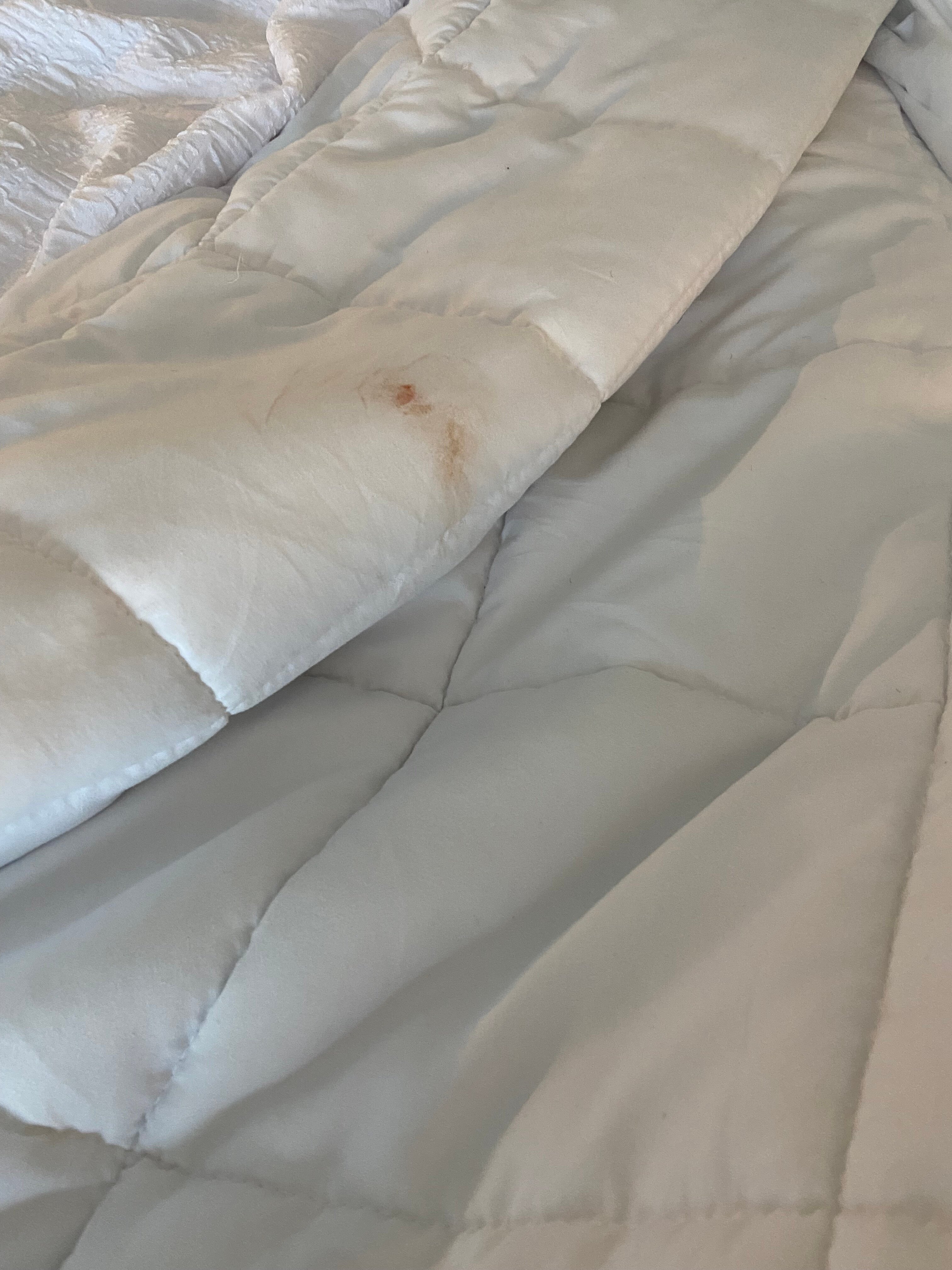 Hampton Inn By Hilton Detroit Southfield-官方